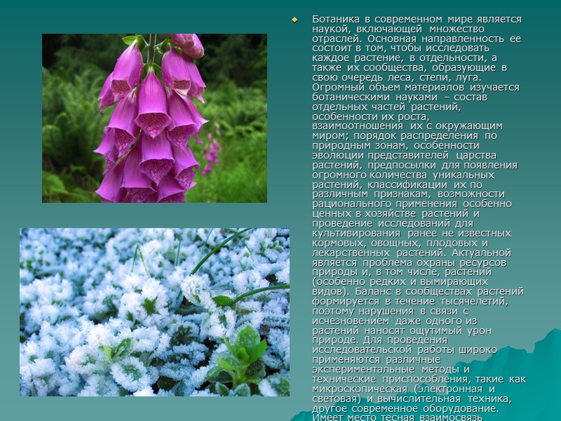 Ботаника в современном мире является наукой, включающей множество отраслей. Основная направленность ее состоит в Ботаника в современном мире является наукой, включающей множество отраслей. Основная направленность ее состоит в